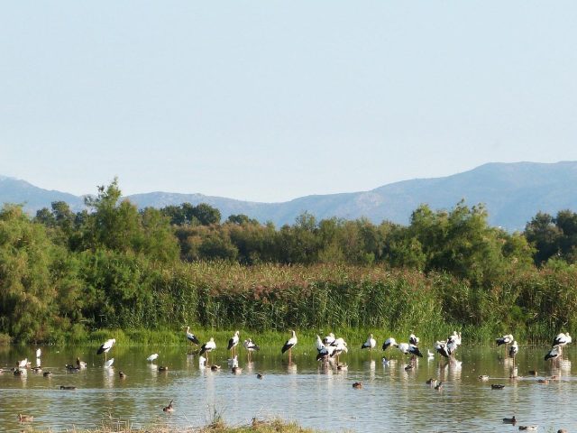 Parque Natural Aiguamolls del Empordà