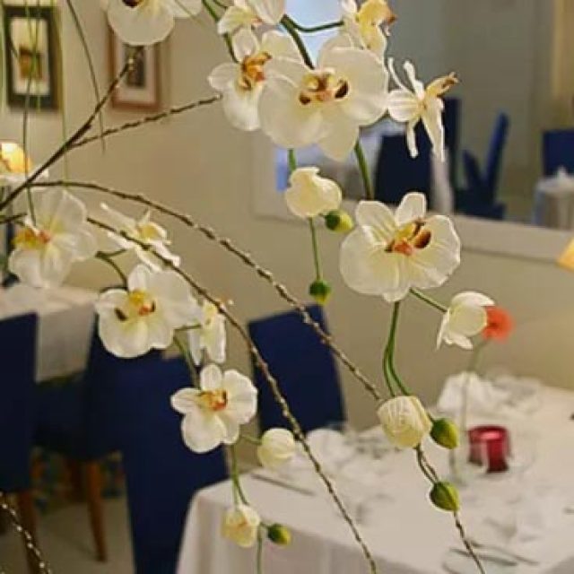 Amura Restaurante