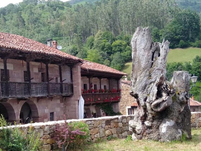 CARMONA