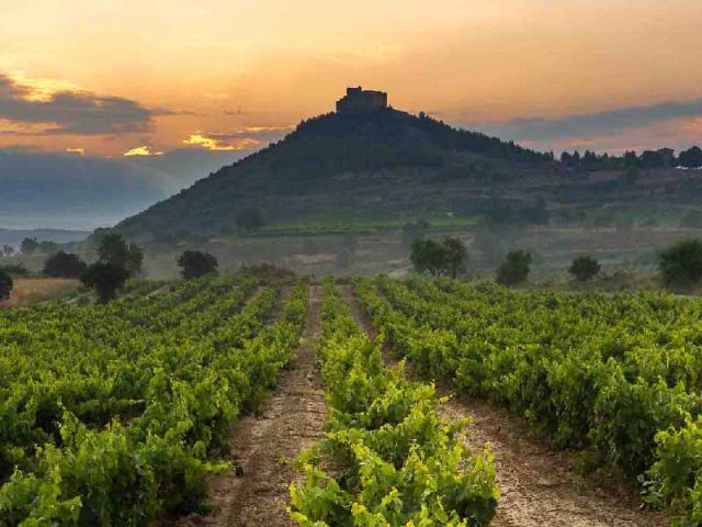 CASTILLO DE DAVALILLO
