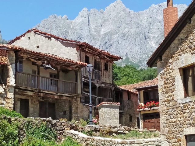 MOGROVEJO
