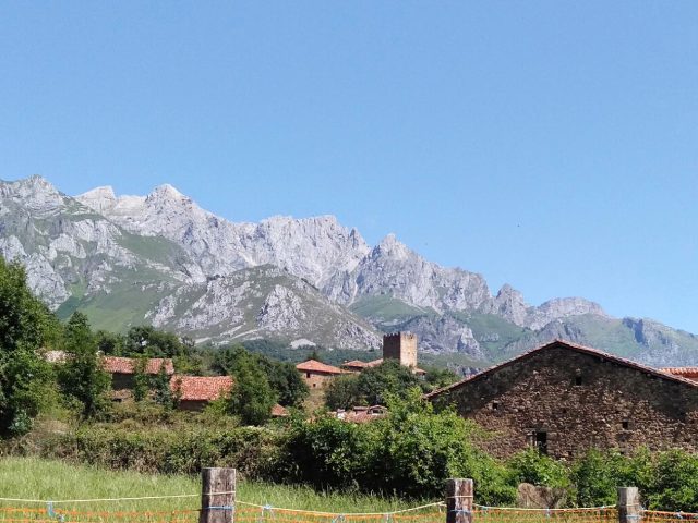 MOGROVEJO