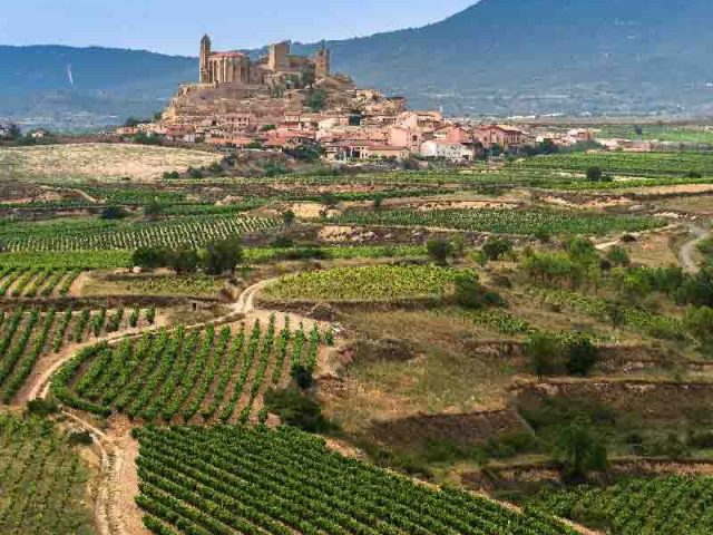 SAN VICENTE DE LA SONSIERRA