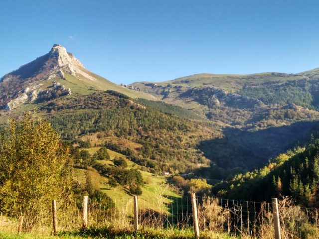 TXINDOKI