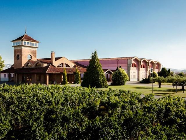 Bodegas Viña Ijalba