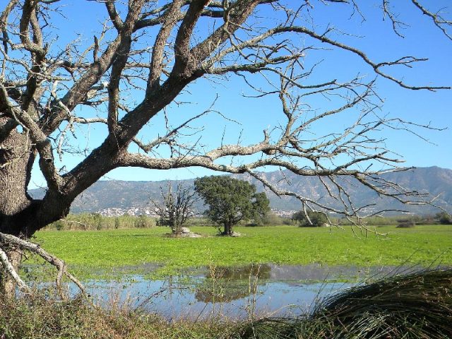 Parque Natural Aiguamolls del Empordà