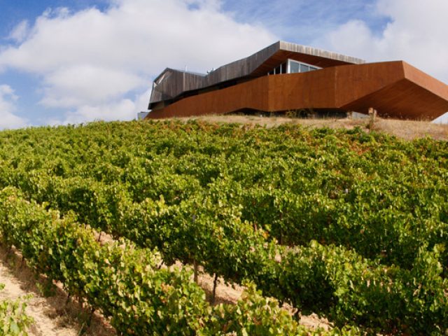BODEGAS NAVARRA