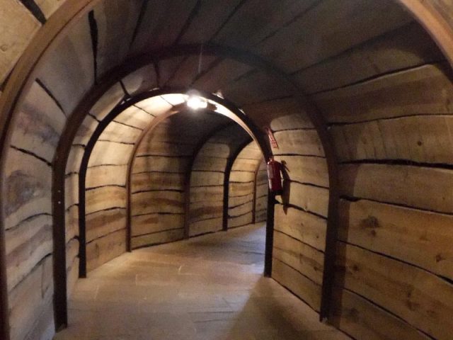 Cueva El Soplao