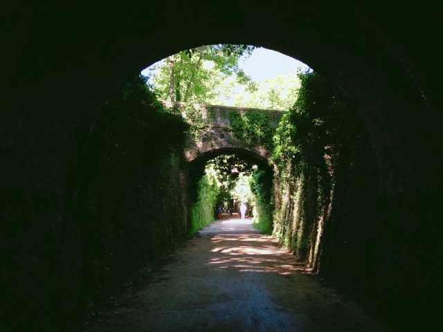 VIA VERDE DEL CARRILET