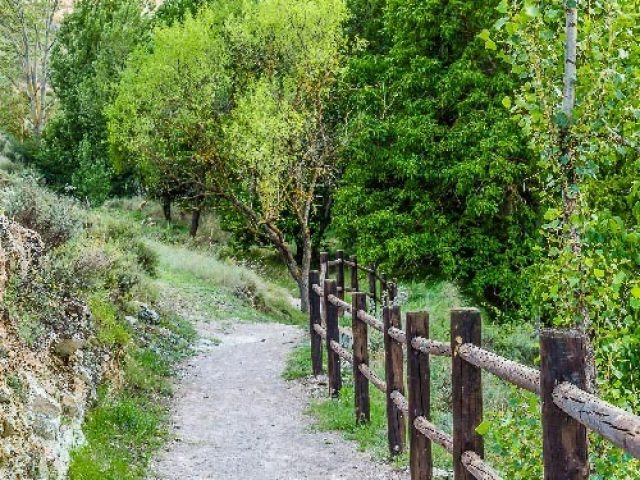 EL CAMINO DEL RÍO ALHAMA