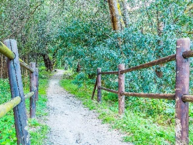 EL CAMINO DEL RÍO ALHAMA