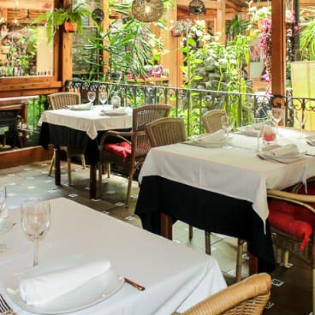 Terraza Jardín Felipe