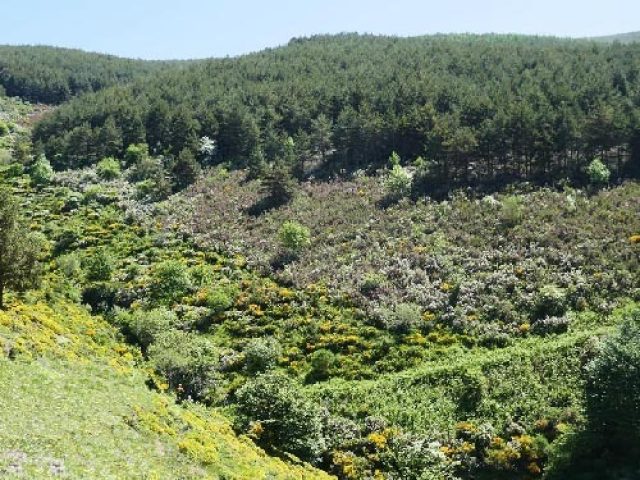 RUTA DE LOS 7 PUENTES