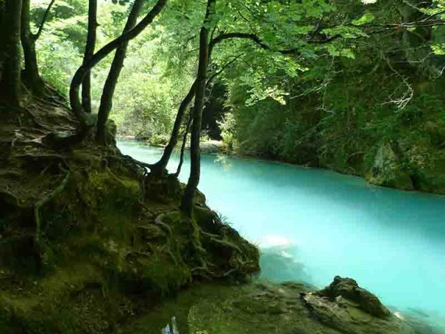 NACEDERO DE UREDERRA