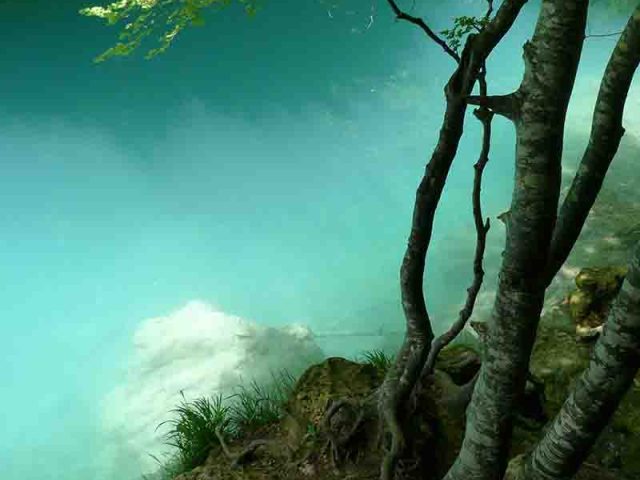 NACEDERO DE UREDERRA