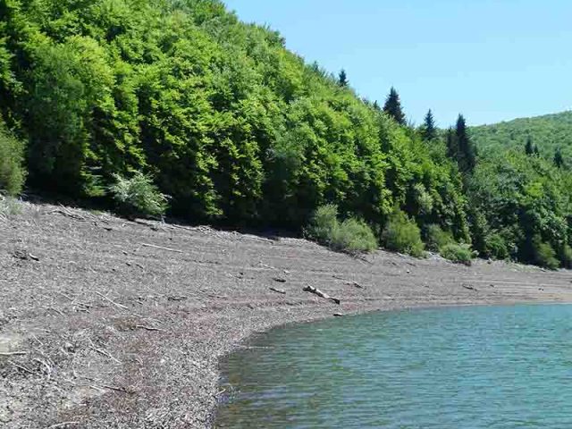 VIRGEN DE LAS NIEVES
