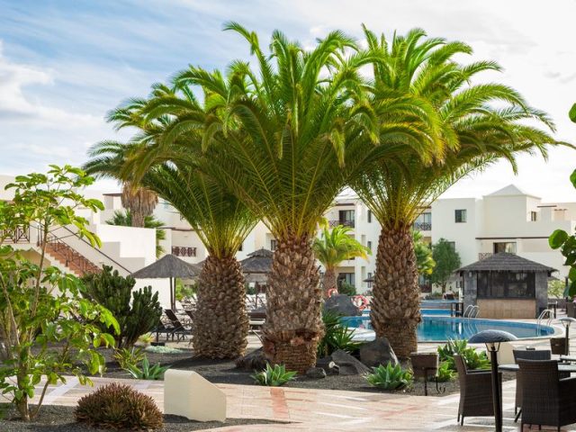 Vitalclass Lanzarote Resort****