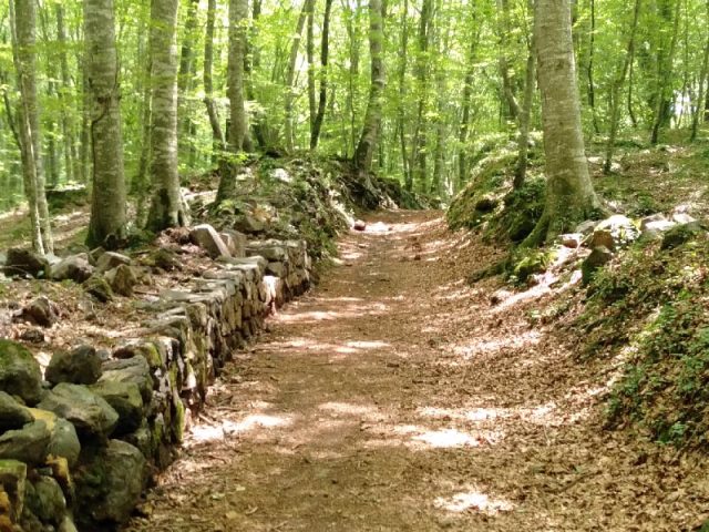 LA FAGEDA D´EN JORDÁ