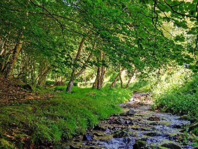 SENDERO DE VALVANERA