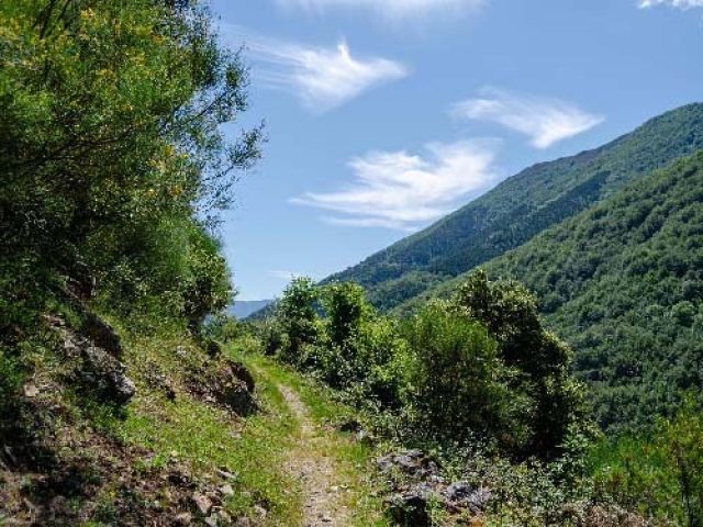 SENDERO DE VALVANERA