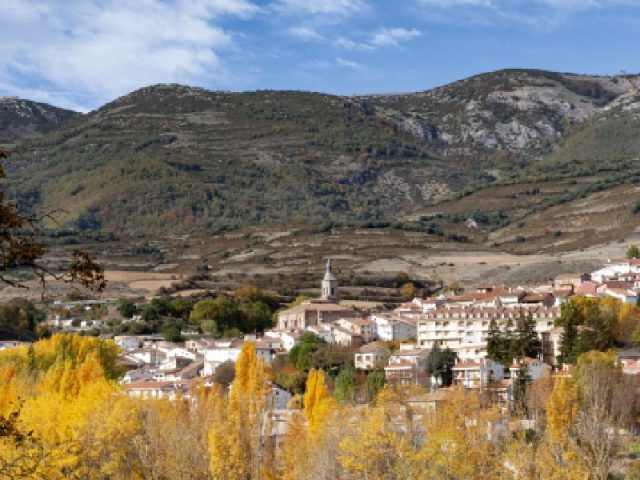 TORRECILLA DE CAMEROS